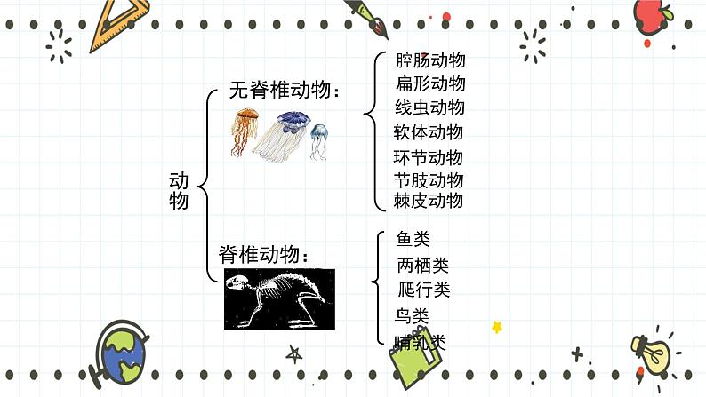 22.4动物的主要类群(1)(课件+教学设计+练习+学案)05