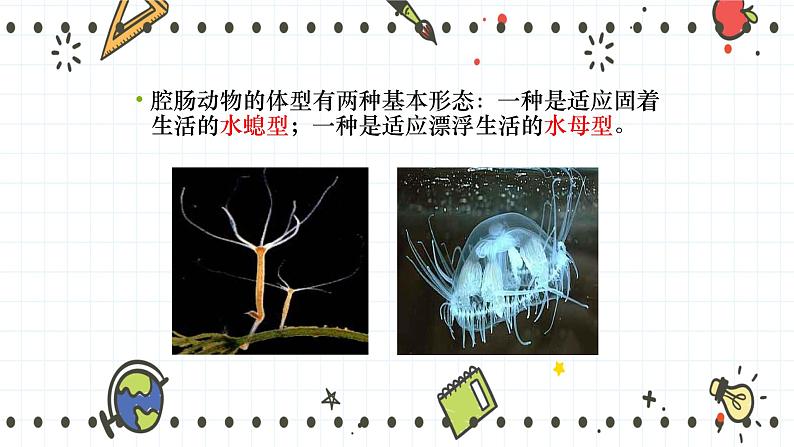 22.4动物的主要类群(1)(课件+教学设计+练习+学案)07