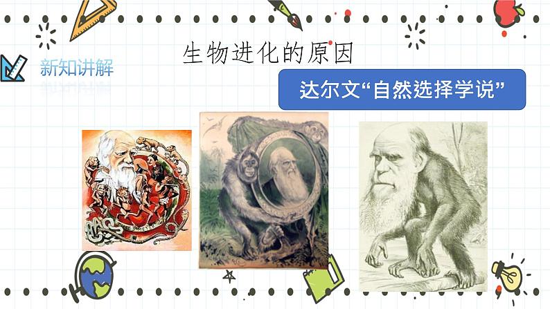 21.2生物的进化(2)(课件+教学设计+练习+学案)02
