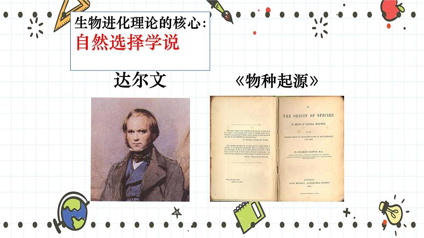 21.2生物的進化（2）-課件第3頁