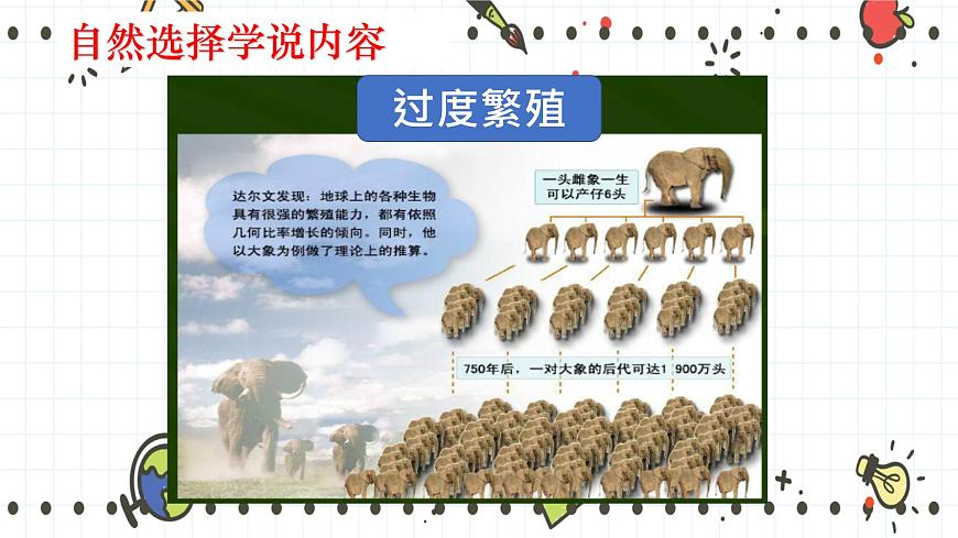 21.2生物的進化（2）-課件第5頁