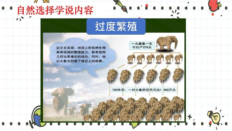 21.2生物的进化(2)(课件+教学设计+练习+学案)05