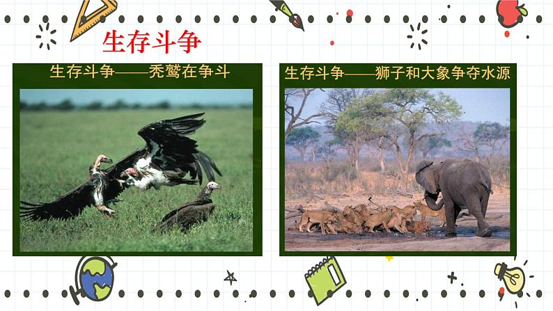 21.2生物的进化(2)(课件+教学设计+练习+学案)06