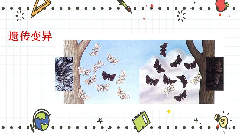 21.2生物的进化(2)(课件+教学设计+练习+学案)07