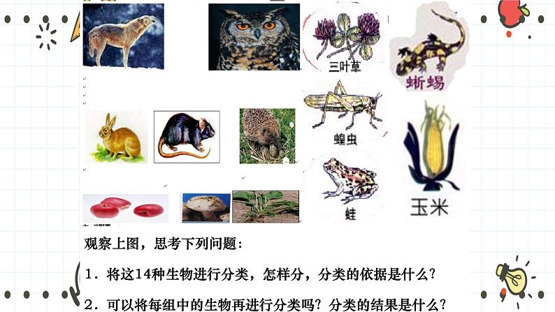 22.1 生物的分类(课件+教学设计+练习+学案)04