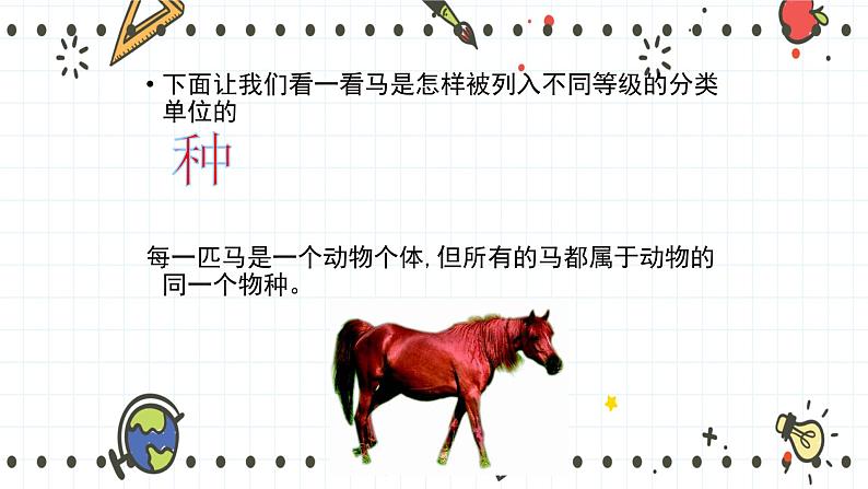22.1 生物的分类(课件+教学设计+练习+学案)07