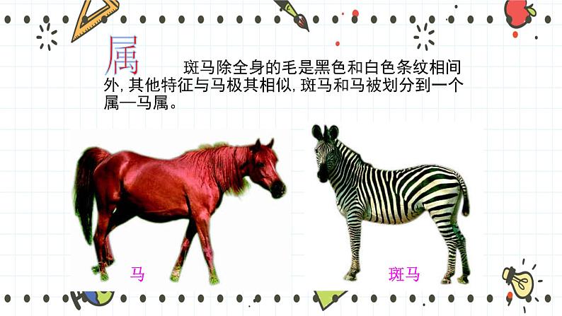 22.1 生物的分类(课件+教学设计+练习+学案)08