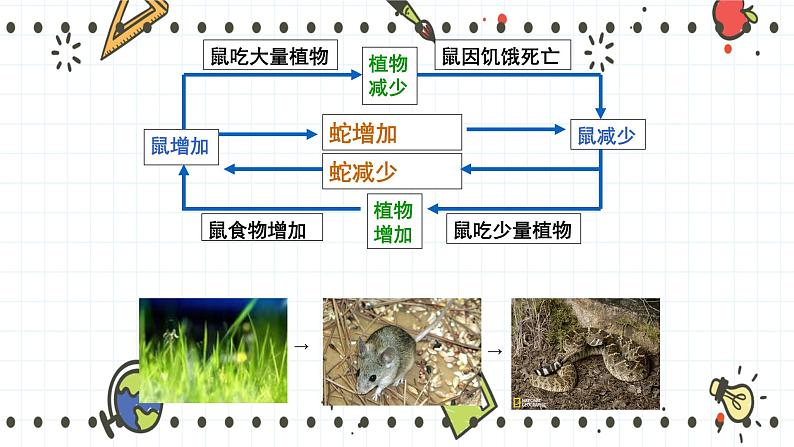 23.4生态系统的稳定性(课件+教学设计+练习+学案)05