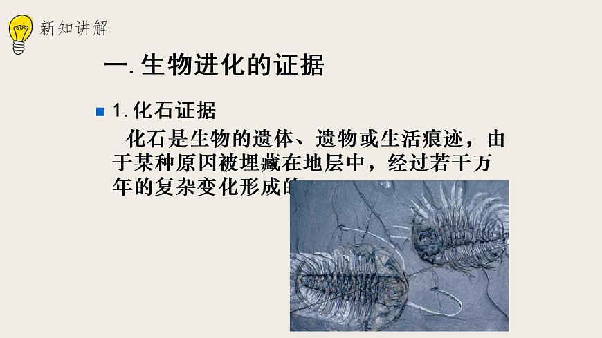 21.2生物的進(jìn)化（1） 課件第4頁(yè)