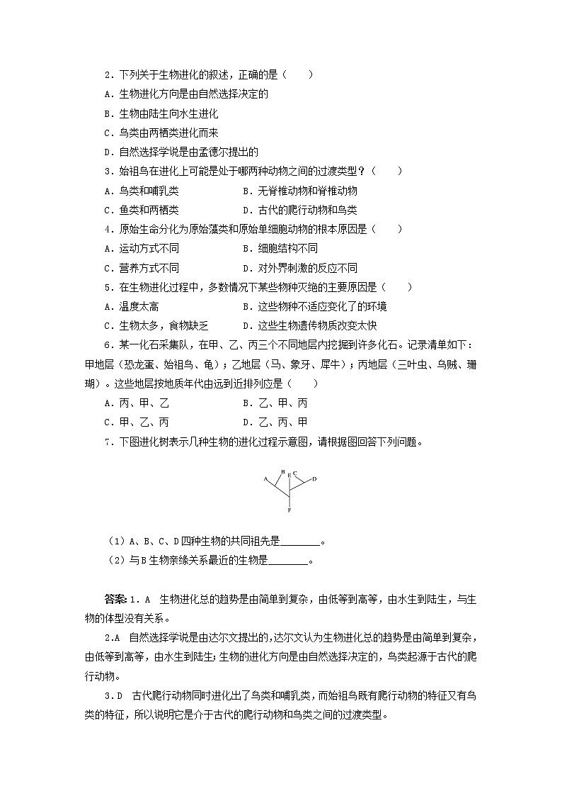 21.2生物的進(jìn)化（1） 導(dǎo)學(xué)案第3頁(yè)