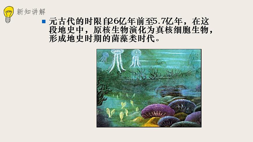 21.2生物的進(jìn)化(2)課件第7頁