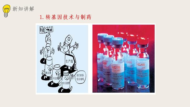 25.2现代生物技术(课件+教案+练习+导学案)08