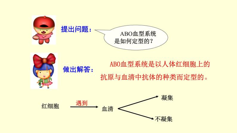 人教版七年级生物下册----4.4.4 输血与血型  课件07