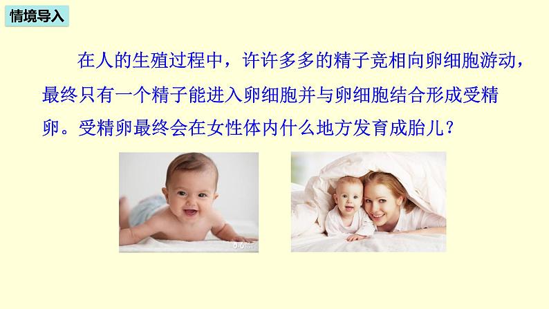 人教版七年级生物下册----4.1.2 人的生殖 课件第3页