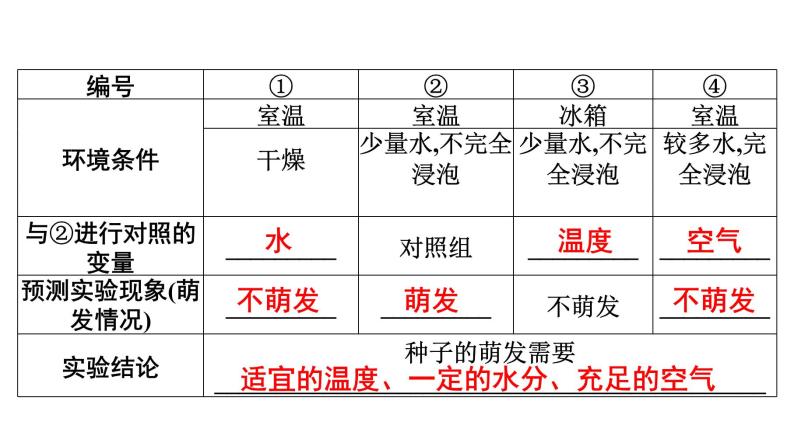 2021中考广东专用生物知识点一轮复习第三单元第二章　被子植物的一生 课件07