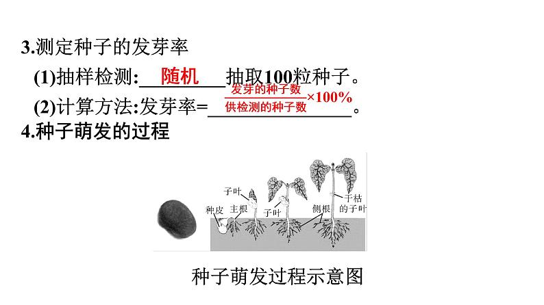 2021中考广东专用生物知识点一轮复习第三单元第二章 被子植物的一生 课件08