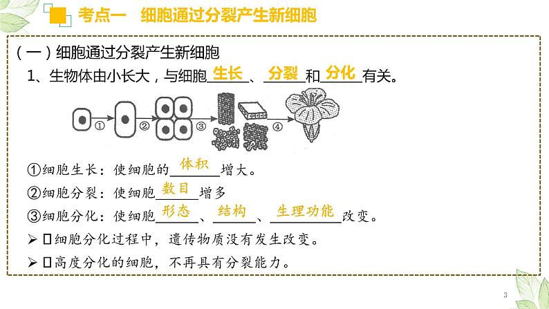 专题03 细胞怎样构成生物体(上课用课件)-【过一轮】2022年中考生物一轮复习课件精讲与习题精练03
