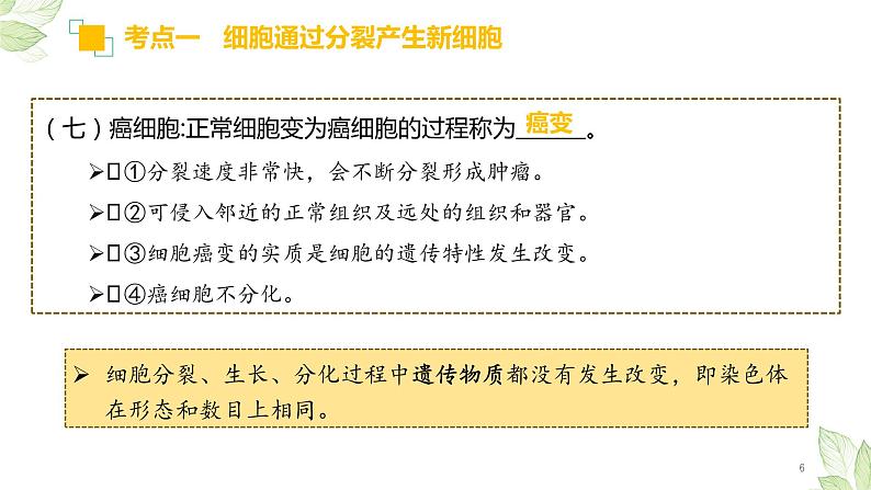 专题03 细胞怎样构成生物体(上课用课件)-【过一轮】2022年中考生物一轮复习课件精讲与习题精练06