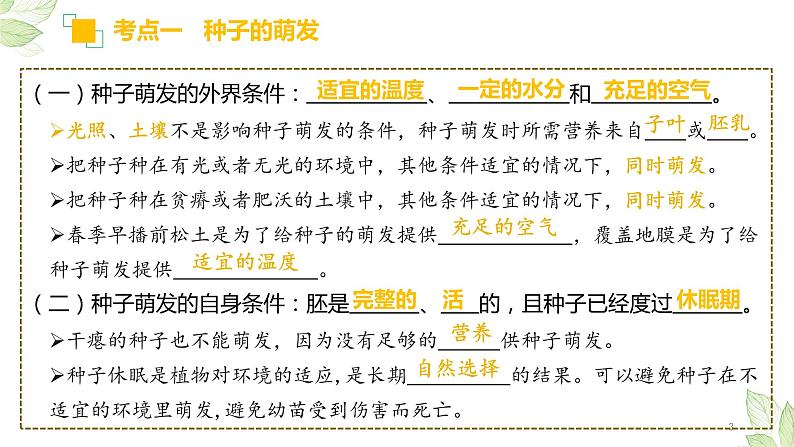 专题05 被子植物的一生(上课用课件)-【过一轮】2022年中考生物一轮复习课件精讲与习题精练03