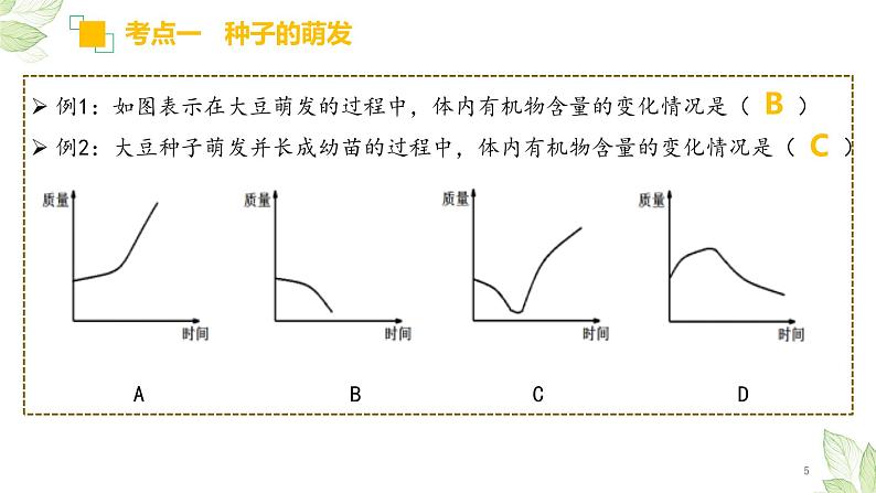 专题05 被子植物的一生(上课用课件)-【过一轮】2022年中考生物一轮复习课件精讲与习题精练05