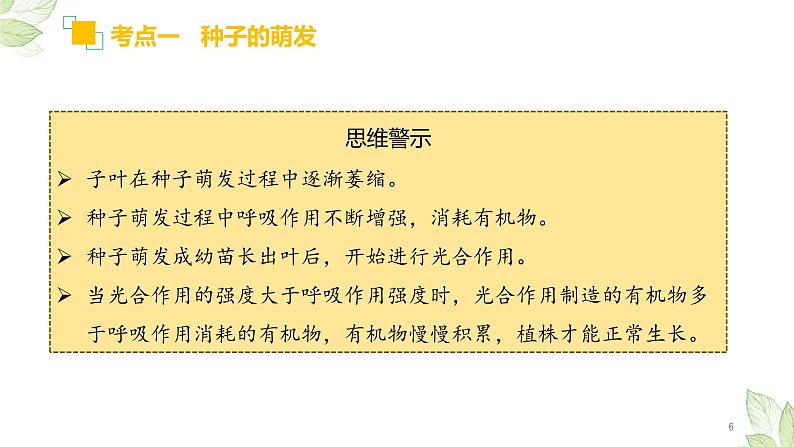 专题05 被子植物的一生(上课用课件)-【过一轮】2022年中考生物一轮复习课件精讲与习题精练06