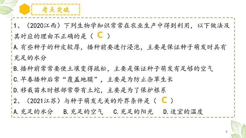专题05 被子植物的一生(上课用课件)-【过一轮】2022年中考生物一轮复习课件精讲与习题精练08