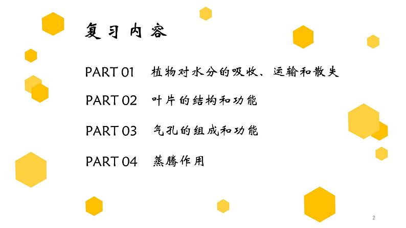 专题06 绿色植物与生物圈的水循环(上课用课件)-【过一轮】2022年中考生物一轮复习课件精讲与习题精练02