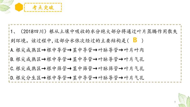 专题06 绿色植物与生物圈的水循环(上课用课件)-【过一轮】2022年中考生物一轮复习课件精讲与习题精练07