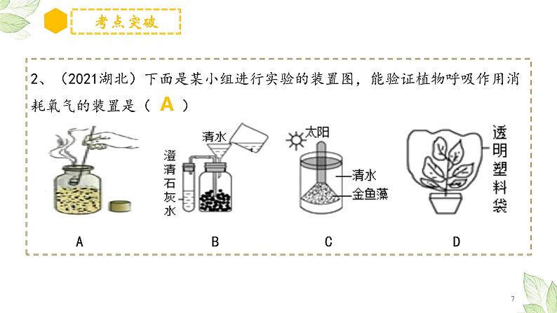 专题08 绿色植物的呼吸作用(上课用课件)-【过一轮】2022年中考生物一轮复习课件精讲与习题精练07