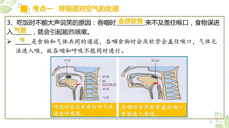 专题11 人体的呼吸(上课用课件)-【过一轮】2022年中考生物一轮复习课件精讲与习题精练第6页