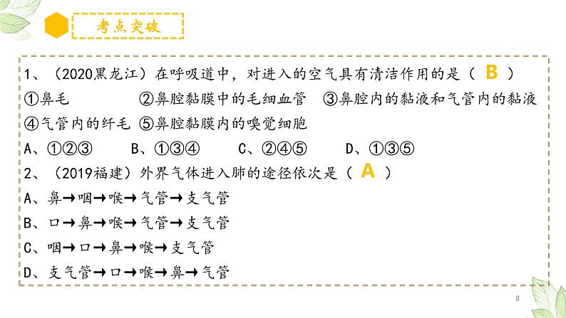专题11 人体的呼吸(上课用课件)-【过一轮】2022年中考生物一轮复习课件精讲与习题精练第8页