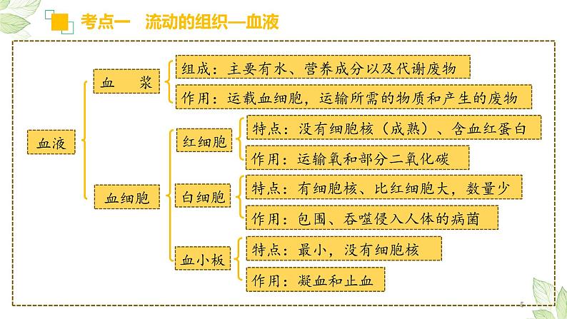 专题12 人体内物质的运输(上课用课件)-【过一轮】2022年中考生物一轮复习课件精讲与习题精练第5页