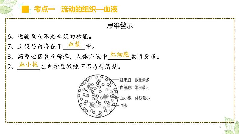 专题12 人体内物质的运输(上课用课件)-【过一轮】2022年中考生物一轮复习课件精讲与习题精练第7页