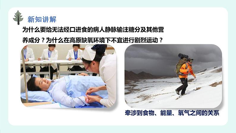 10.1食物中能量的释放(课件+教案+练习+学案)02