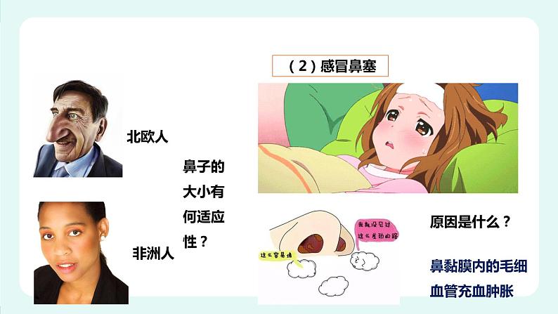 10.2人体细胞获得氧气的过程(1)-课件第5页