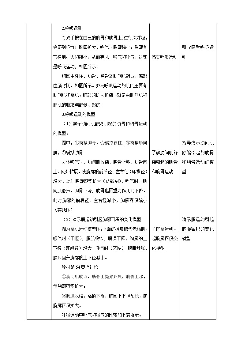 10.2人体获得氧气的过程(2)-教案第2页