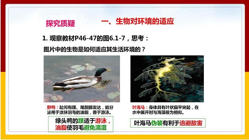 第6单元 生物与环境 第1章 生物与环境的相互作用 第2节 生物对环境的适应和影响课件PPT第4页
