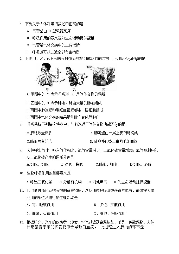 10.2人体细胞获得氧气的过程(课件+教案+练习+学案)03