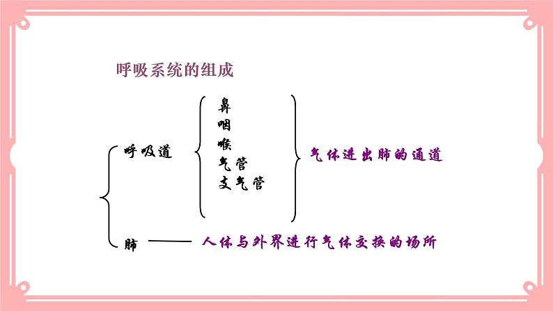 10.2人体细胞获得氧气的过程(课件+教案+练习+学案)03