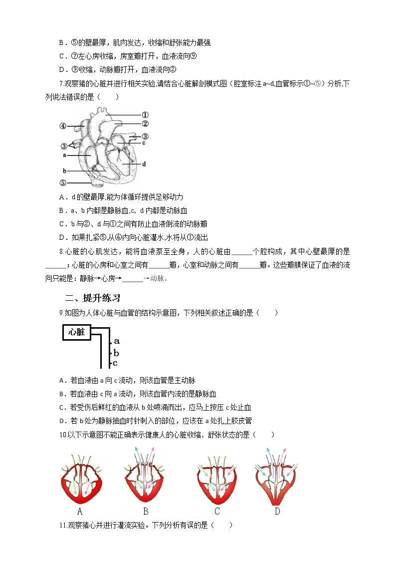 9.2血液循环（2）（课件+教案+练习+学案）02