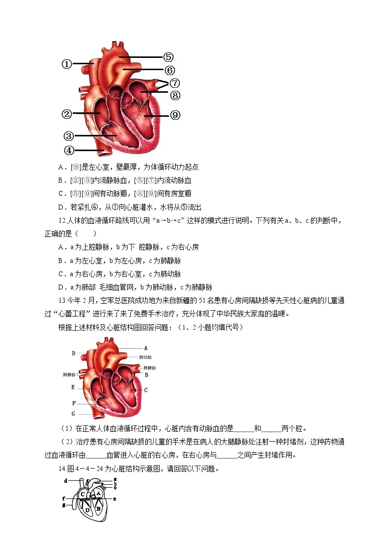 9.2血液循环（2）（课件+教案+练习+学案）03