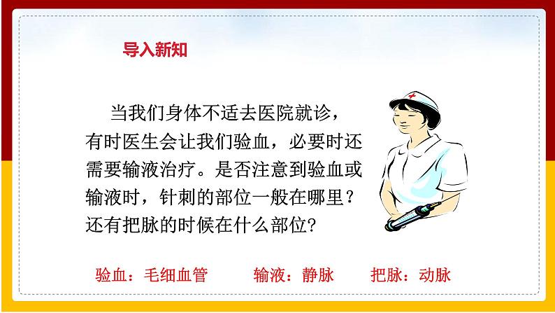 第10章 人体的物质运输和能量供给 第2节 人体的血液循环(1)课件PPT第3页