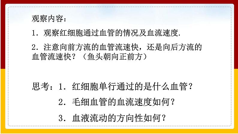 第10章 人体的物质运输和能量供给 第2节 人体的血液循环(2)课件PPT第7页