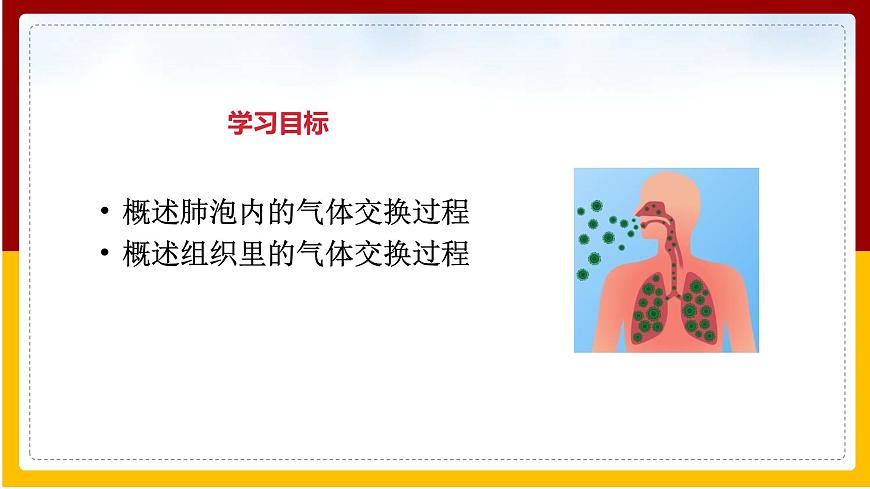 第10章 人體的物質(zhì)運輸和能量供給 第4節(jié) 人體內(nèi)氣體交換課件PPT第2頁