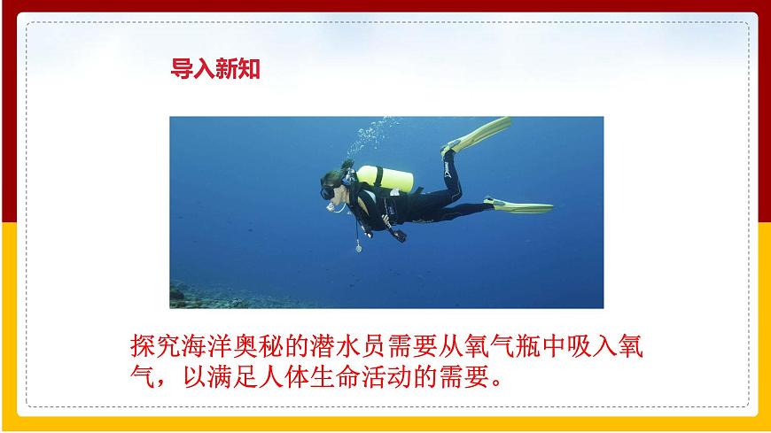 第10章 人體的物質(zhì)運輸和能量供給 第4節(jié) 人體內(nèi)氣體交換課件PPT第3頁