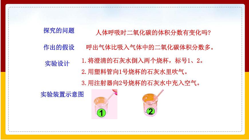 第10章 人體的物質(zhì)運輸和能量供給 第4節(jié) 人體內(nèi)氣體交換課件PPT第5頁