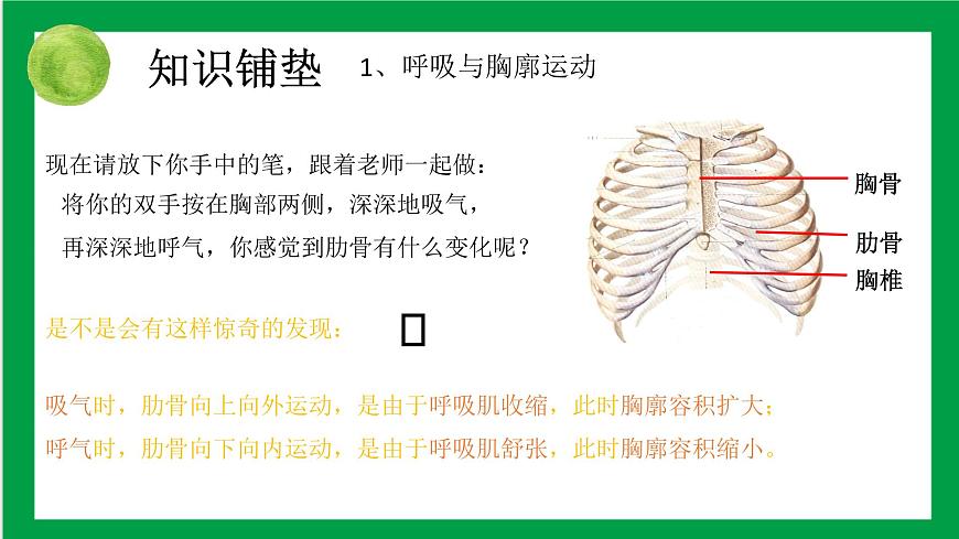 4.3.2發(fā)生在肺內(nèi)的氣體交換 課件第2頁(yè)