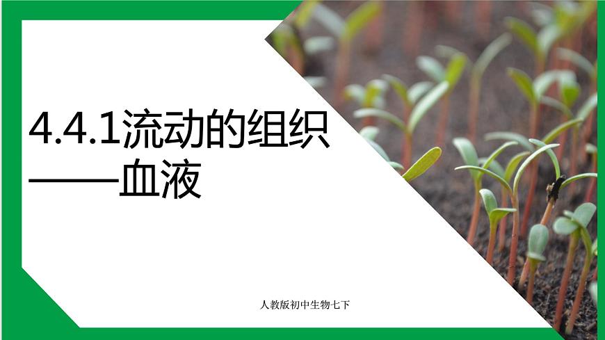 4.4.1流動(dòng)的組織——血液 課件第1頁(yè)