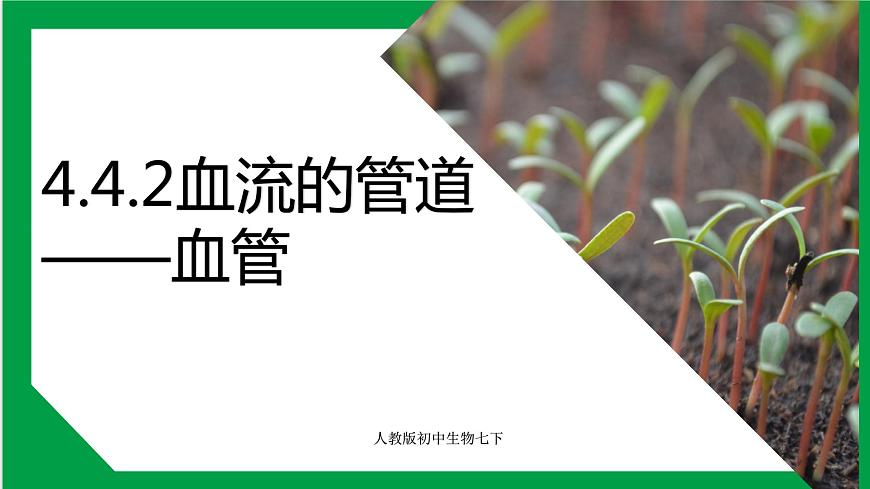 4.4.2血流的管道——血管 課件第1頁(yè)
