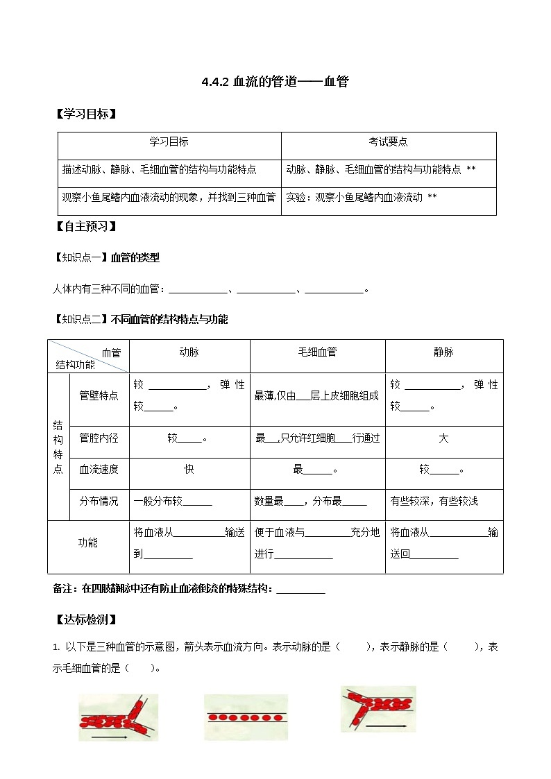 4.4.2血流的管道——血管 導(dǎo)學(xué)案第1頁(yè)
